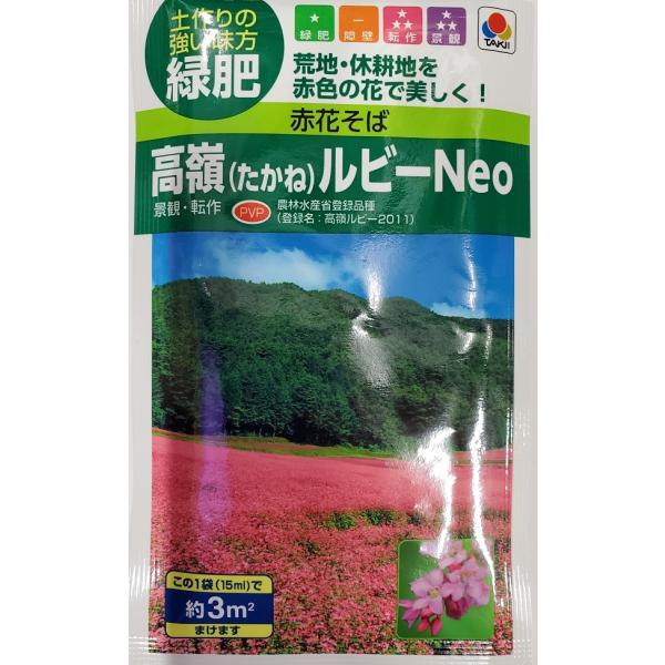 ؎q 䃋r[Neo ԉԂ Δ ^LCc̃^l _ѐYȓo^i o^F䃋r[2011