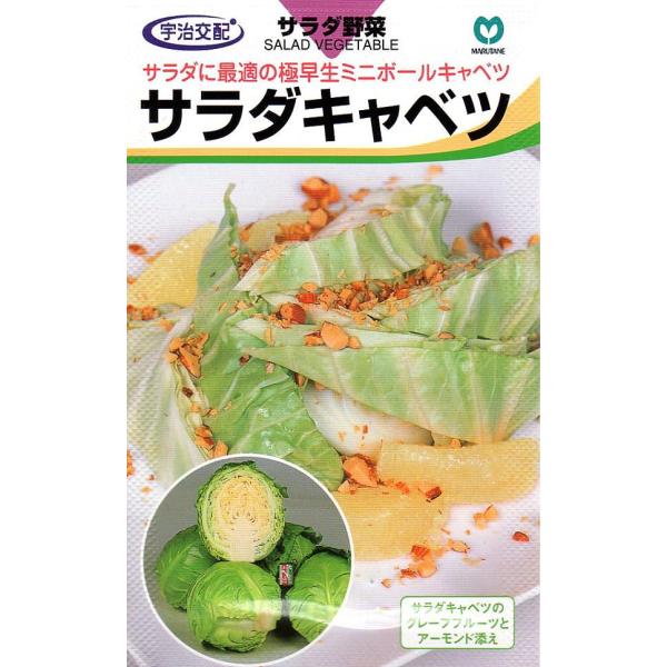 yqzFz T_Lxci~jbNX40j ێ̃^l