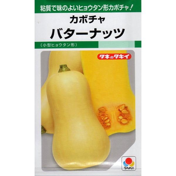 黄褐色の果皮で果重800g程度のヒョウタン形カボチャ。交配後30日程度で収穫できる極早生種。１つるで2〜3個着果が可能な多収穫で、果ぞろいも良好です。