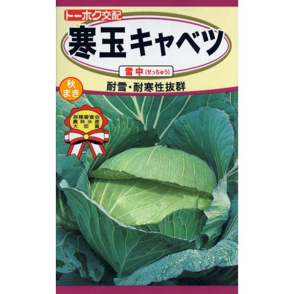 野菜種子 寒玉キャベツ 雪中（せっちゅう） トーホクのタネ : Gardener