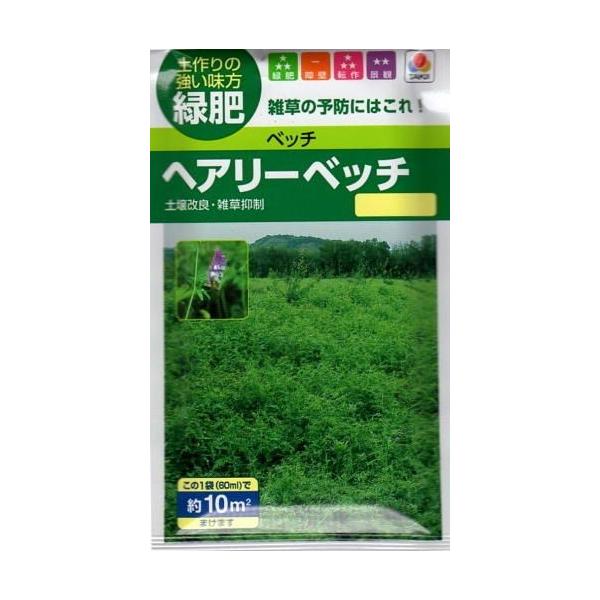 yqzxb` wA[xb`ii햼iCj ^LCc̃^l