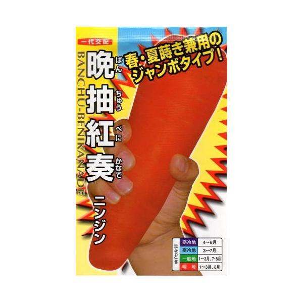 ・レギュラーサイズの約2倍の大きさでも収穫可能！・トウ立ちが遅く、春蒔きも安心です。・とても在圃性が長く、裂根の心配が少ない。・肉色は鮮やかな濃紅色です。