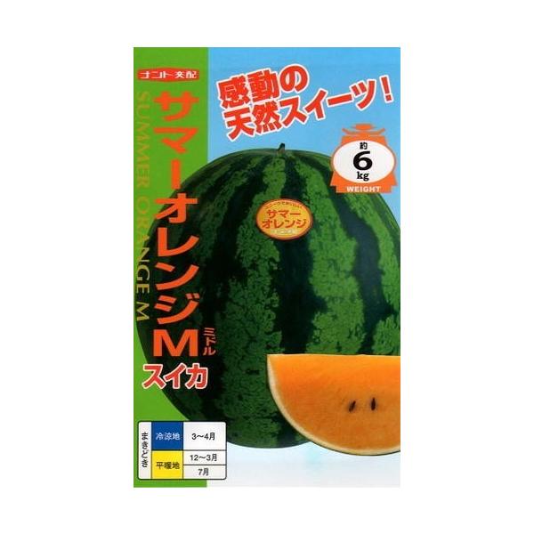 野菜種子 西瓜（スイカ） サマーオレンジM（ミドル） ナント種苗のタネ