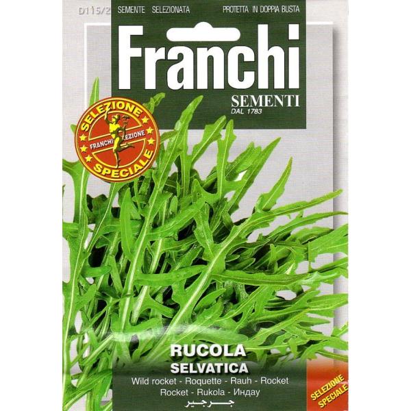 ؎q FRANCHI SEMENTI RUCOLA SELVATICA bREZo`JEGNXg t`
