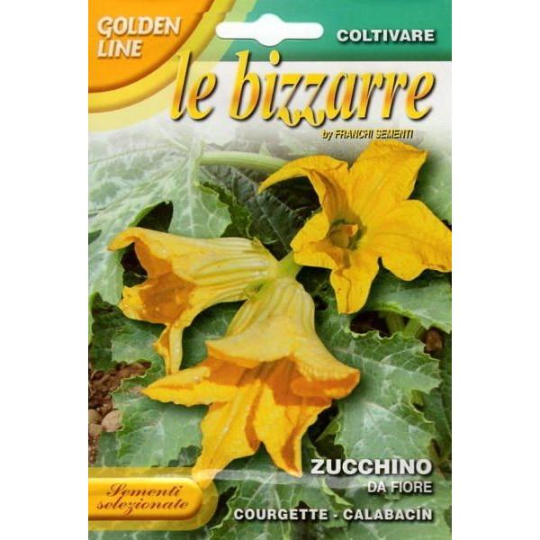 yqzFRANCHI SEMENTI GOLDENLINE ZUCCHINO DA FIORE S[fC ԃYbL[j t`
