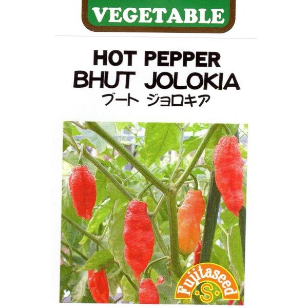 野菜種子 ホット・ペッパー ブート ジョロキア 藤田種子のタネ