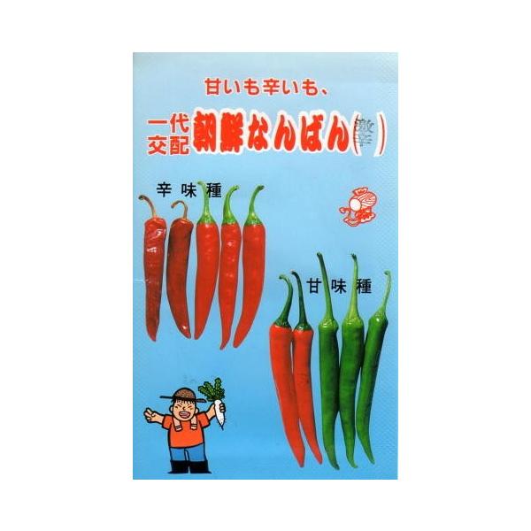 唐辛子種子　朝鮮なんばん gardeningivy_yasaitane-840