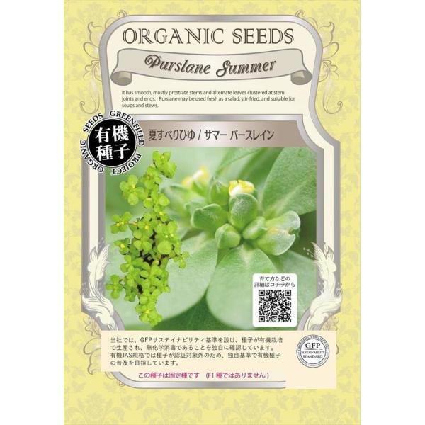 地表を這うように育つ多肉植物の健康野菜で、暑さ乾燥に強く、大変育てやすい野菜です。ポーチュラカを原産とする野草ともいわれる野菜ですが、オメガ3脂肪酸含有量が非常に多く、また鉄分やビタミンBなど栄養価の高い健康野菜です。この種子は固定種です（...