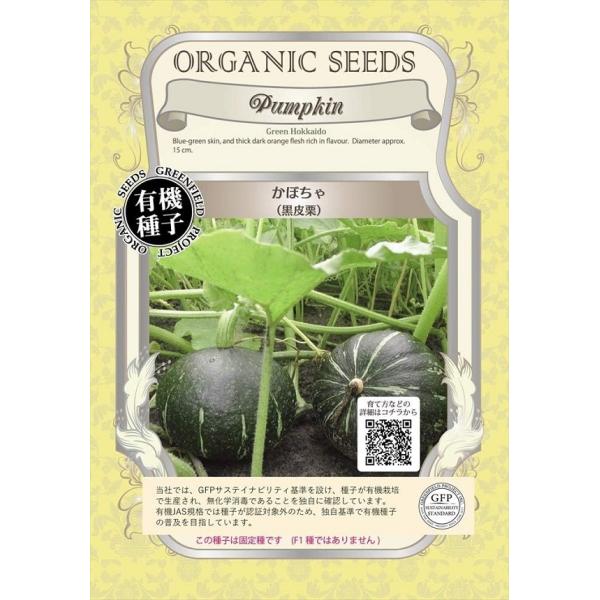 外皮は黒緑、果肉はオレンジ色のかぼちゃです。直径15センチほどで収穫します。固定種です　(F1種ではありません)