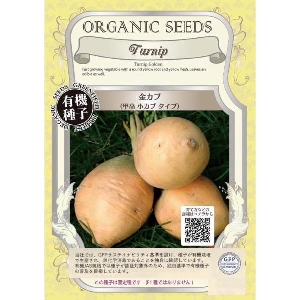期限切れ（2026年5月）間近のため売り尽くしセール！春・秋まき可能な黄金色（肉色も黄金色）の小カブで、甲高な形です。カブの収穫サイズは5〜8cmで、葉もおいしくいただけます。固定種です　(F1ではありません)