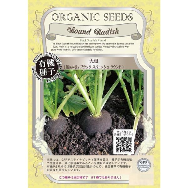 真っ黒な外皮に純白の果肉が特徴の大根です。直径は8〜10cmの丸型で、ちょっとした料理に便利な小ぶりの大根です。1500年代からヨーロッパで愛され続けた歴史ある従来品種で、日本でもよく育ちます。固定種です　(F1ではありません)