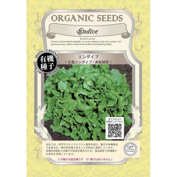 期限切れ（2026年5月）間近のため売り尽くしセール！ほろ苦みのある葉野菜で、サラダや炒め物として楽しめます。早生品種で、重量があり、自然に軟白化してくれる育てやすい品種です。