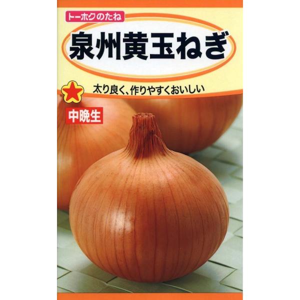 野菜種子 泉州黄玉ねぎ トーホクのタネ : Gardener s Shop Ivy - 通販