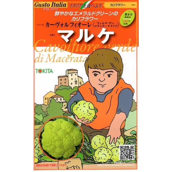 エメラルドグリーンの花蕾が良く締まり盛り上がるのが特徴。茹であがりの色がきれいで食味が良い。100日で収穫可能。草勢は旺盛。耐寒性はあるが耐暑性は弱い。