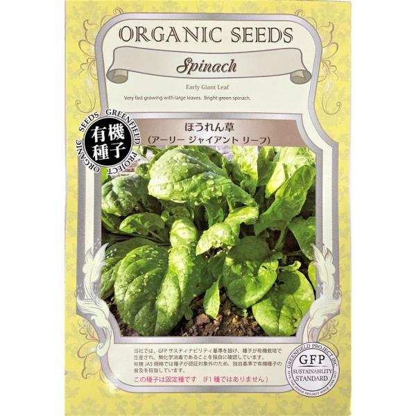 期限切れ（2026年5月）間近のため売り尽くしセール！大葉に育つ丸葉の早生品種で育てやすい品種です。F1種です。