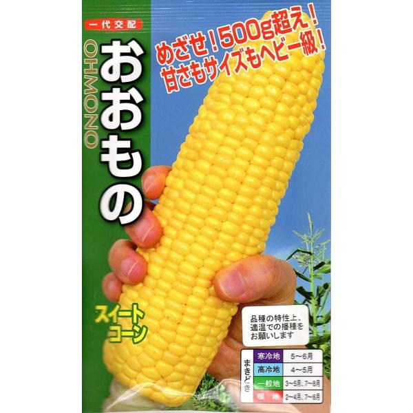 ビッグサイズ！しかも高糖度でジューシーな食味が自慢です！長さで重量を出すタイプなので可食率が極めて高い！