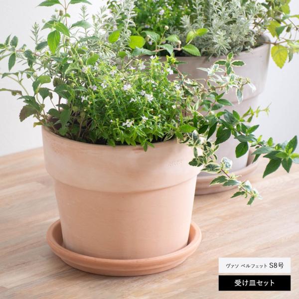 イタリアンテラコッタ 受け皿付き 植木鉢 園芸ポット ヴァソ ペルフェット S 8号 ＆ ソーサー23 セット Deroma(デローマ)社 底穴あり