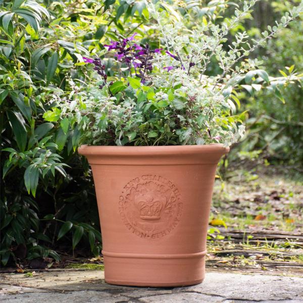 【予約販売】Whichford ウィッチフォード 植木鉢 キングチャールズ コロネーション プランター 直径33cmサイズ