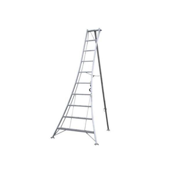 A~Or@9ځ@KWX-270@270cm@2.7m@r@ݑ@56049