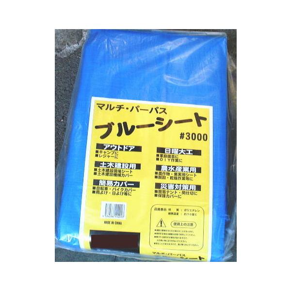 u[V[g5.4m×5.4m@3000@55194@/@AEghA@_