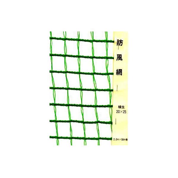 O[lbg@20mmX25mmځ@2mX50m@55221@/@_Ɓ@悯