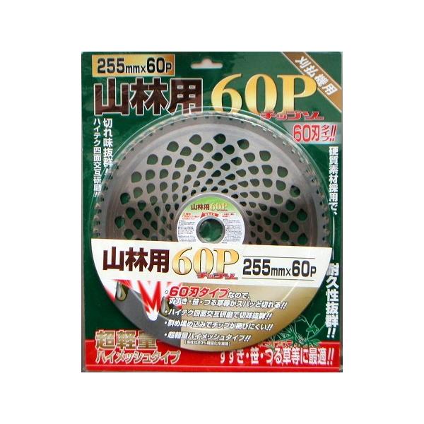 Rїp`bv\[@255mm60P@y30Zbgz@yʃ^Cv@55401@/@@_