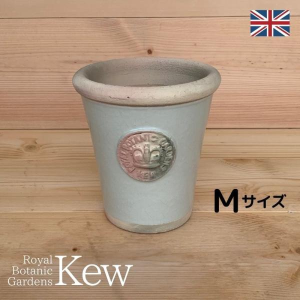 キューガーデン　フリル鉢　新品未使用‼️ Amazon.co.jp: キューガーデン Kew Garden 陶器鉢 フォールズ