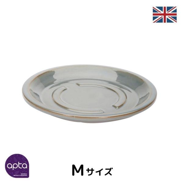 CMX Apt (As^) v~A֖ p󂯎M\[T[M (a25cm)