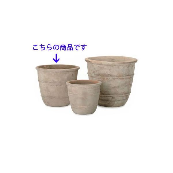 eAXgEVEX 46cm (YT-AS-R32X15E)