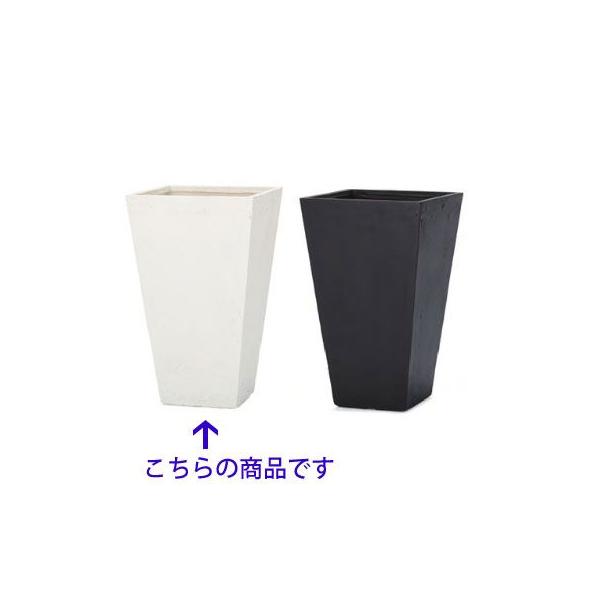 [[^EXNGAg[v^[ 65cm (zCg) (YT-FM-009W65E)