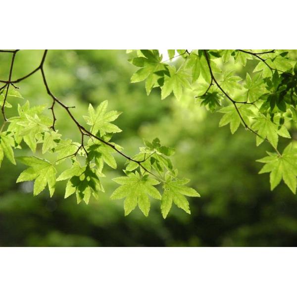 y^izJGfij/RnE`JGfiHcj  2.5mO Inc V{c[ t