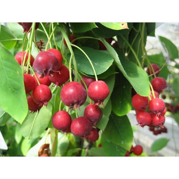 y^izW[x[  2.5mO Inc V{c[ t