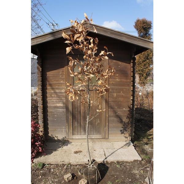 y^izNkMij P 2.5mO Inc V{c[ t