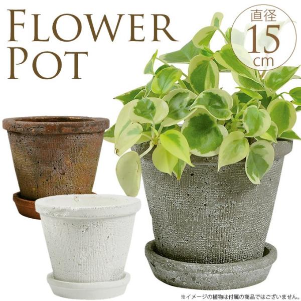 テラコッタ 植木鉢 陶器 白 フラワーポット 素焼き鉢 F15cm Buyee Buyee 日本の通販商品 オークションの代理入札 代理購入