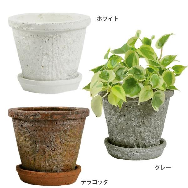 テラコッタ 植木鉢 陶器 白 フラワーポット 素焼き鉢 F15cm Buyee Buyee 日本の通販商品 オークションの代理入札 代理購入
