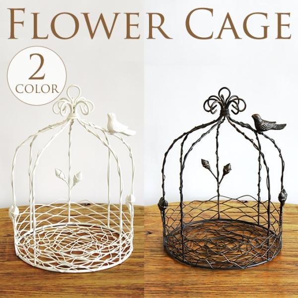  CeA AeB[N o[hP[W nK[ v^[ K[{^P[W@