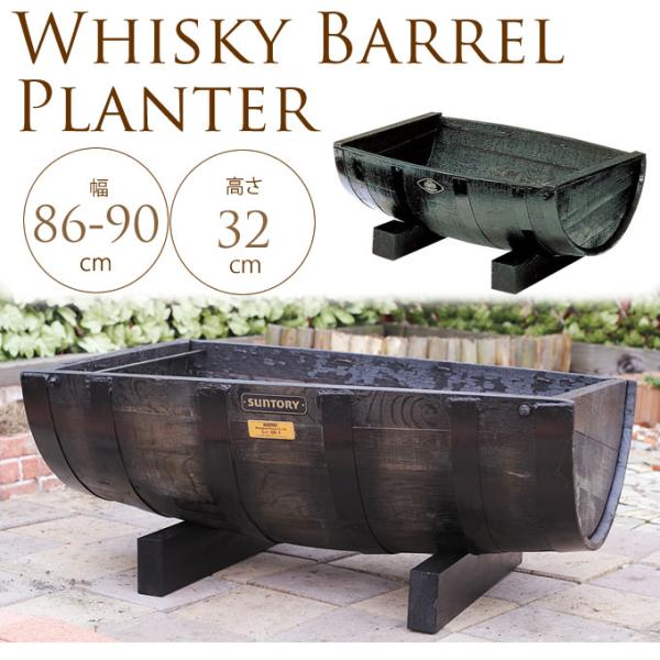 ECXL[M@^v^[@M^@ Ɩp  Ԓd@