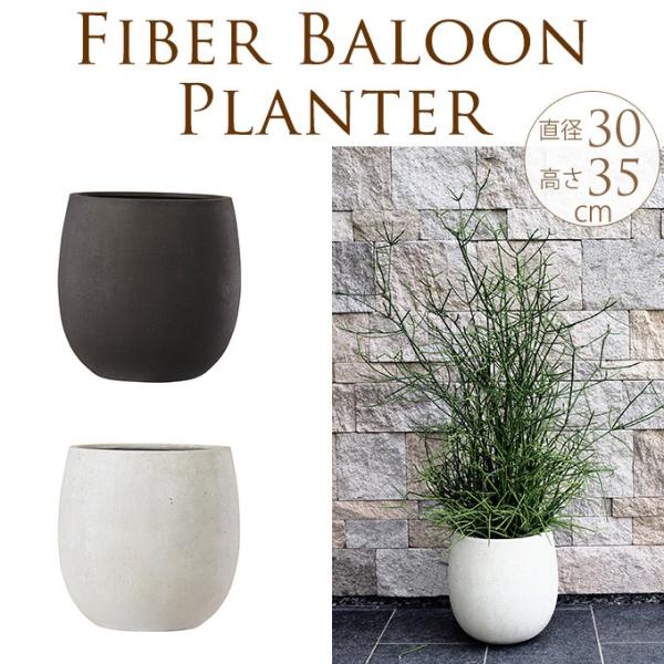  ^ ꌊ o o^ v^[ Vv GgXv^[@ۂđ傫@a30cm