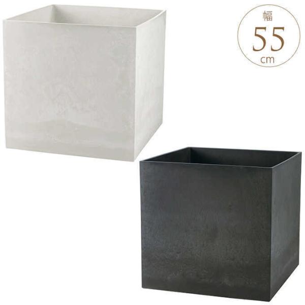 Xƒa ^ v^[Jo[ B[ L[u55^  傫 Ԓd {bNX lp