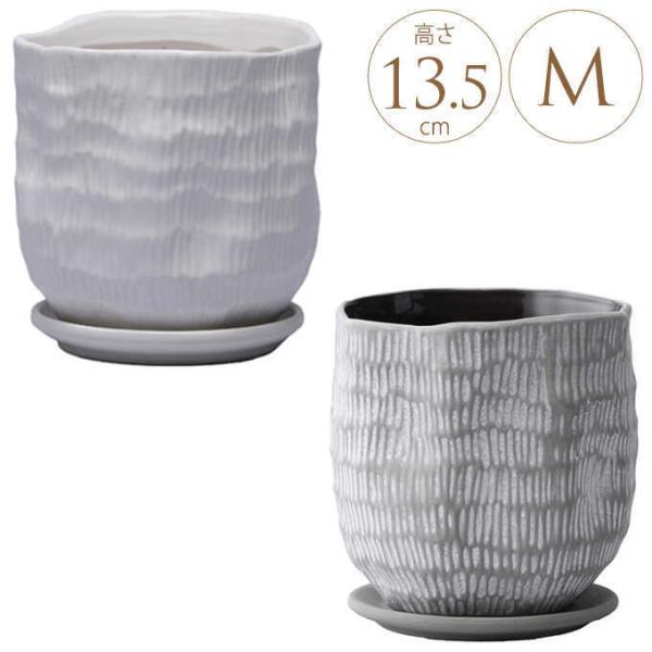 v^[ ꌊ     󂯎Mt hz ns M