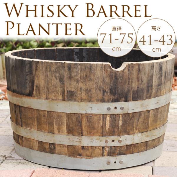 ECXL[M@^v^[@h@a72cm×45cm@ Ɩp  Ԓd@