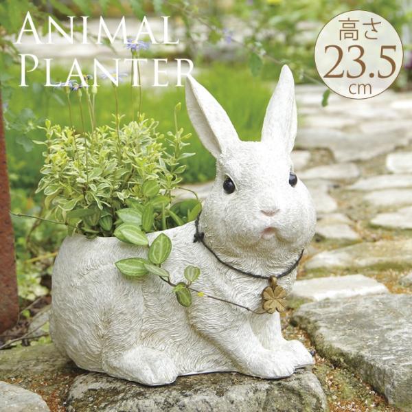 K[fG u  IuWF  v^[ rbct@[ v^[ L  K[f G CeA  