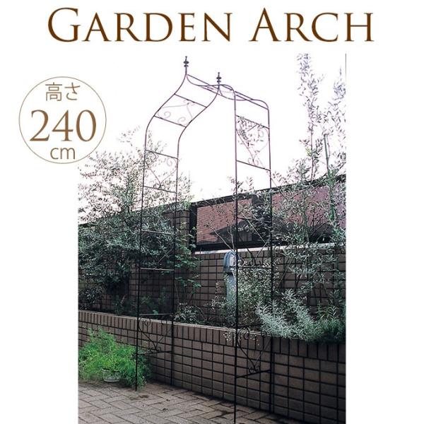 K[fA[` ACA A^ p[S 2m   K[fjO o [YA[`  DIY g nʍ