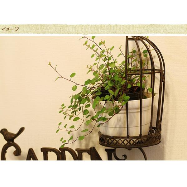 フラワースタンド 花台 雑貨 ガーデニング スタンド ディスプレイ ラック アイアンフラワースタンド バードスタイル Buyee Buyee Japanese Proxy Service Buy From Japan Bot Online