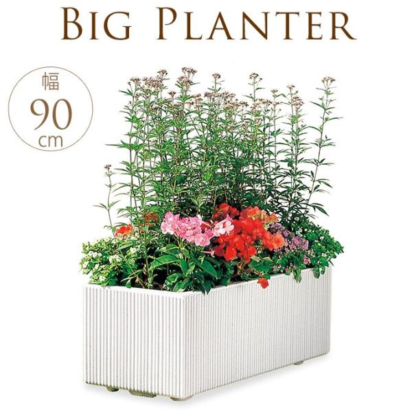 ^v^[ Ɩp VeB{bNX@XgCv 傫 Ԓd{bNX O r[ ` 