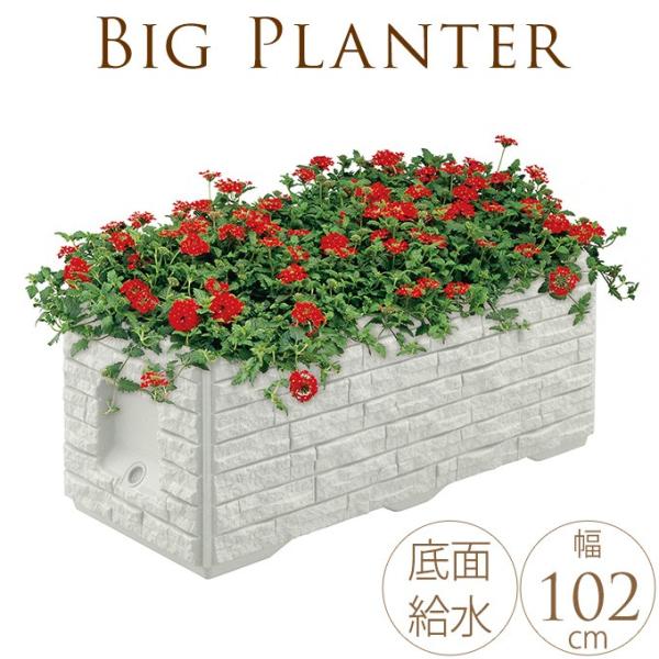 ^v^[ Ɩp rWlX{bNX@Masonry 傫 Ԓd{bNX O r[ ` 