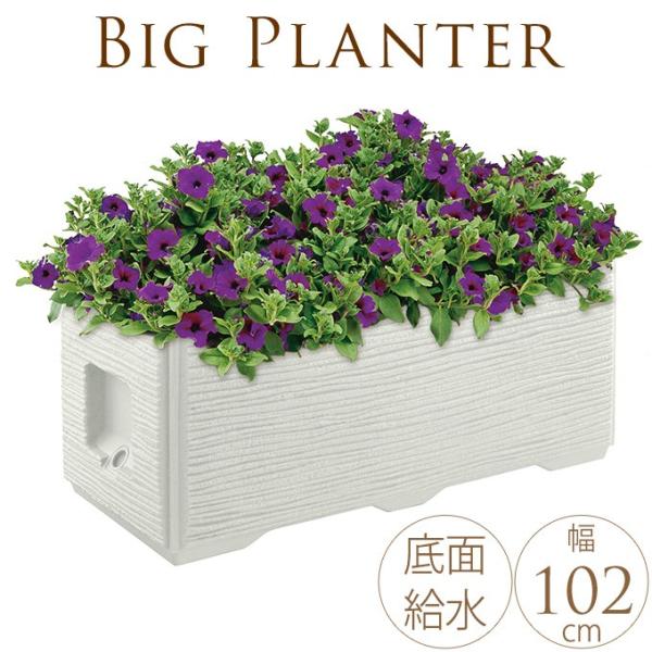 ^v^[ Ɩp VeB{bNX Combing 傫 Ԓd{bNX O r[ ` 