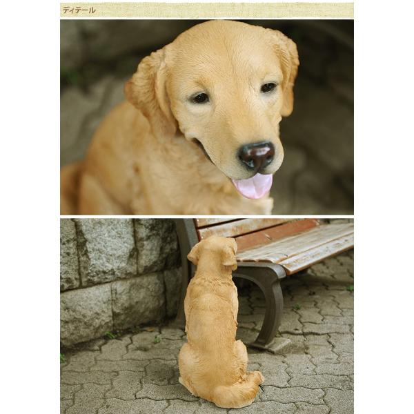 ゴールデンレトリバー 本物そっくり 置物 ちょーだい 実物大 リアル ドッグ 毛並みかわいい オブジェ Buyee Buyee Japanese Proxy Service Buy From Japan Bot Online