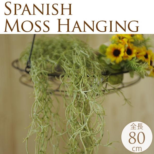 tFCNO[ nMO Ǌ| XpjbVXnMO 80cm   CeA  fBXvC   rO 