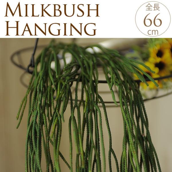 tFCNO[ nMO Ǌ| ~NubVnK[ 66cm   CeA  fBXvC    rO 